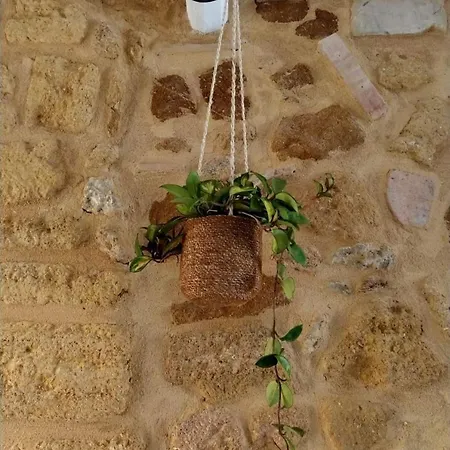 Casuzza Al Duomo With Sea View! Apartment *